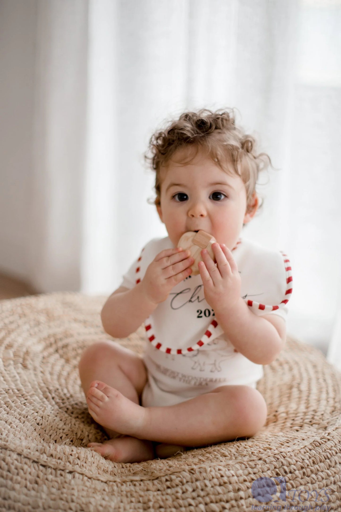 נשכן מעץ - Qtoys