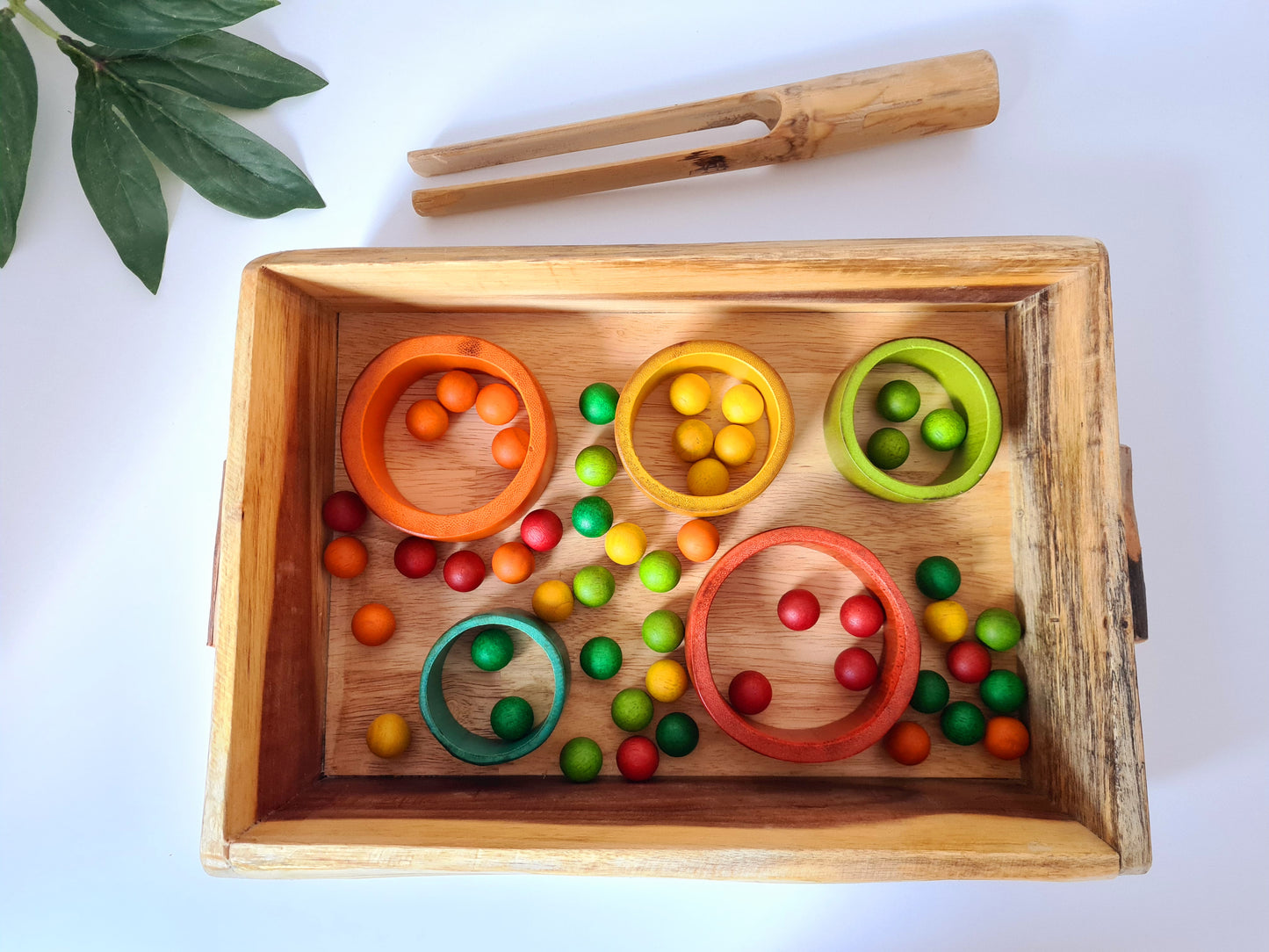 סט מגשים מעץ - Qtoys