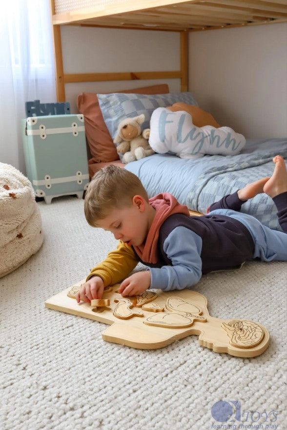 פאזל איברי פנים מעץ - Qtoys