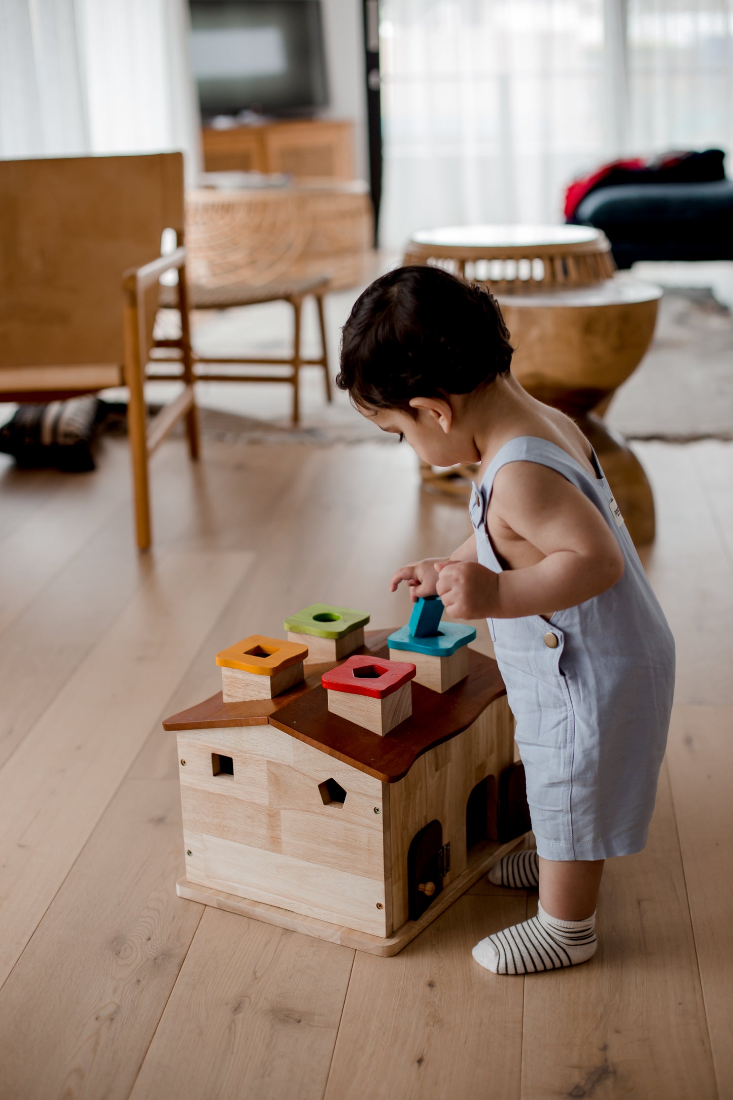 קוטג' מיון צורות מעץ - Qtoys