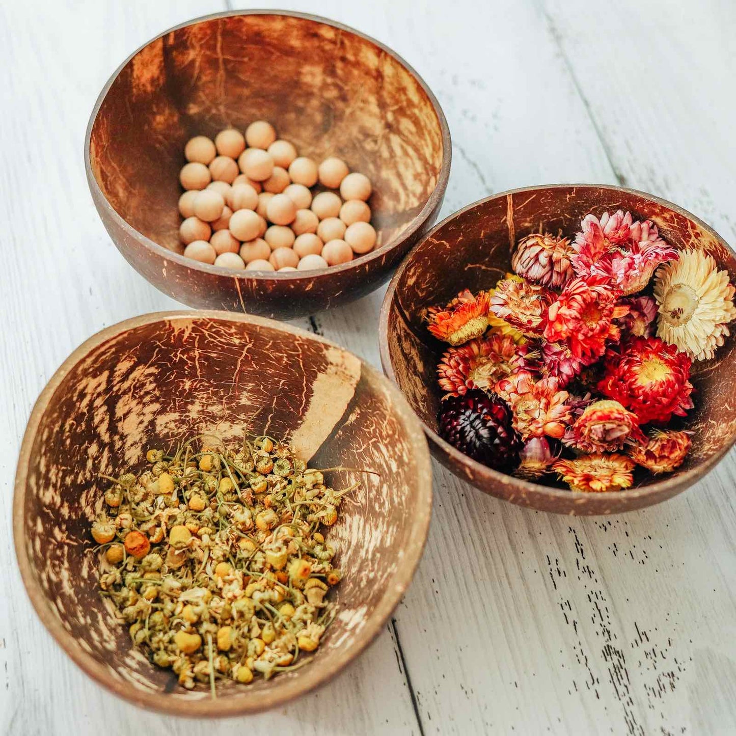 קערה מקוקוס - Explore Nook