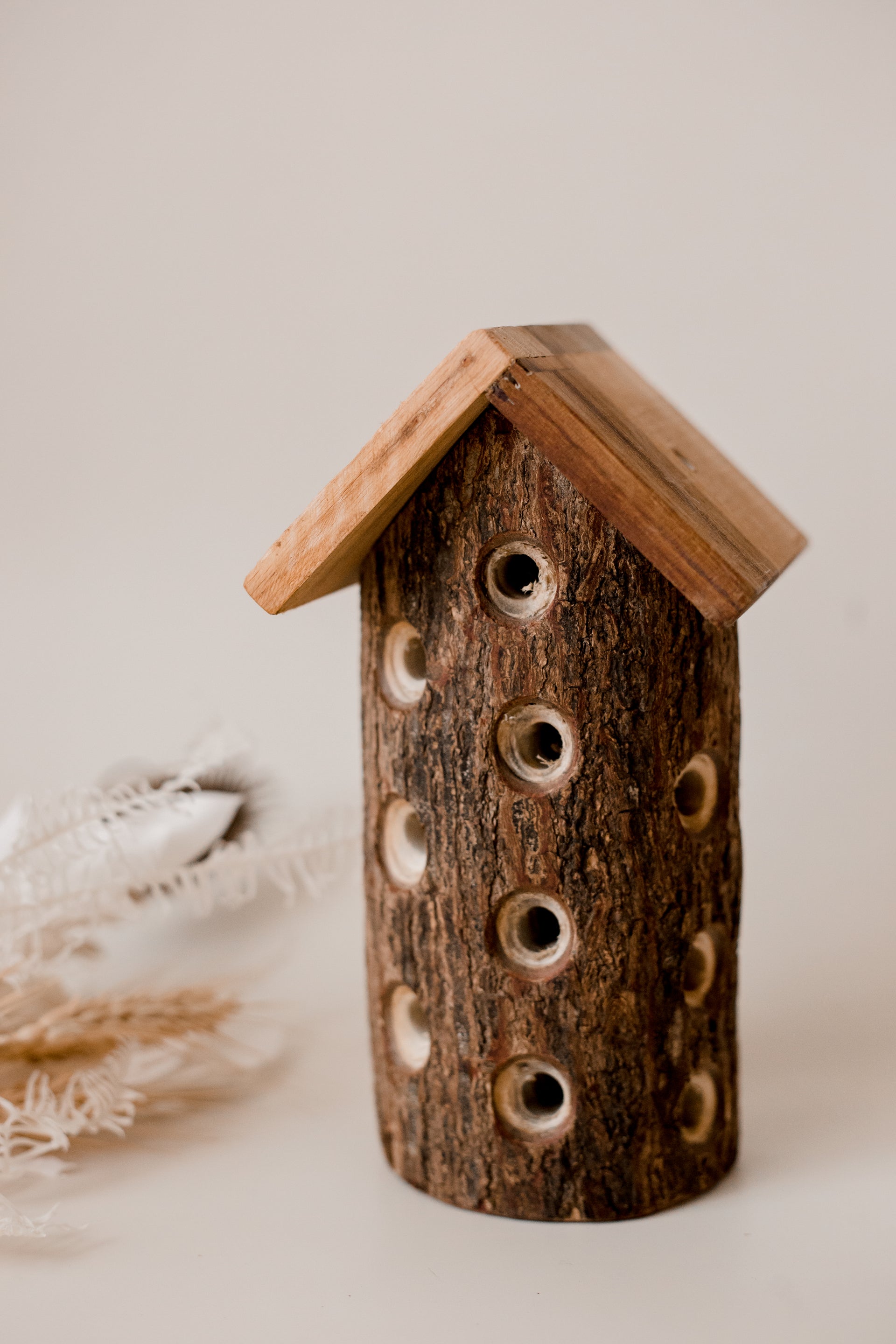 בית חיפושיות מעץ - Qtoys