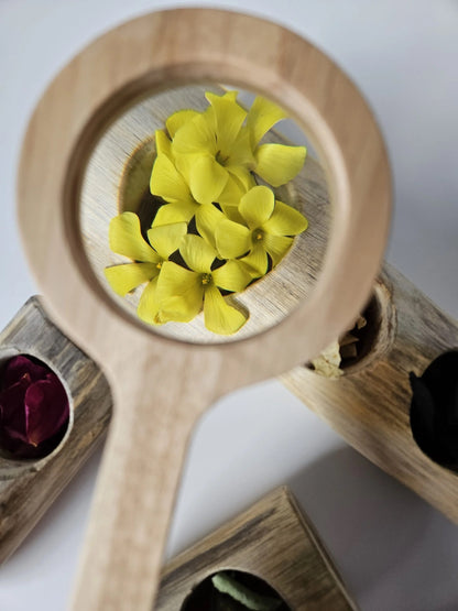 זכוכית מגדלת מעץ - Qtoys