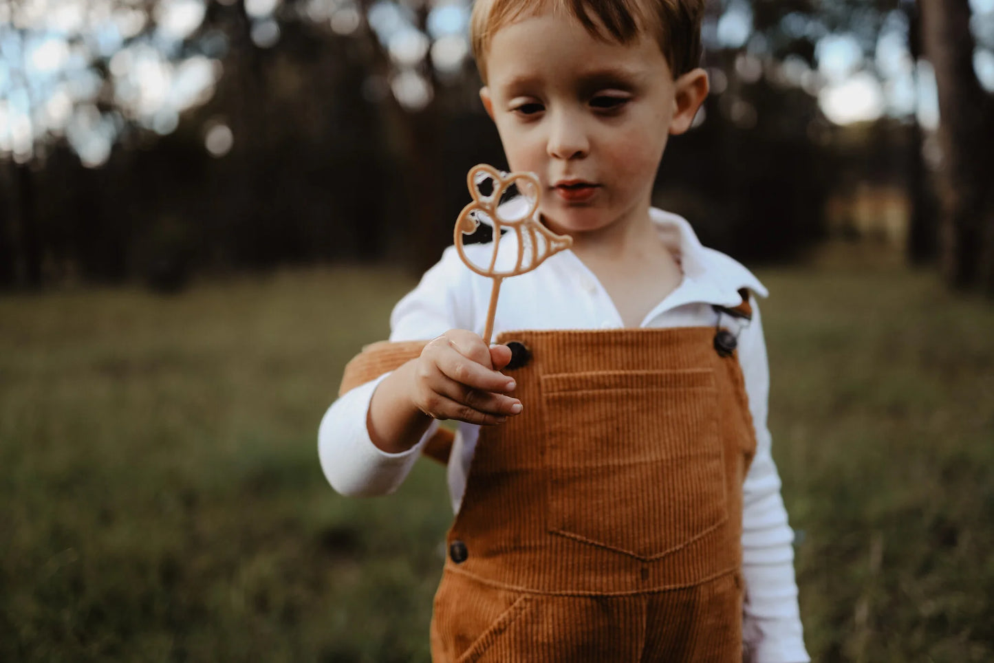 שרביט לפעילות סנסורית - דבורה - Kinfolk Pantry