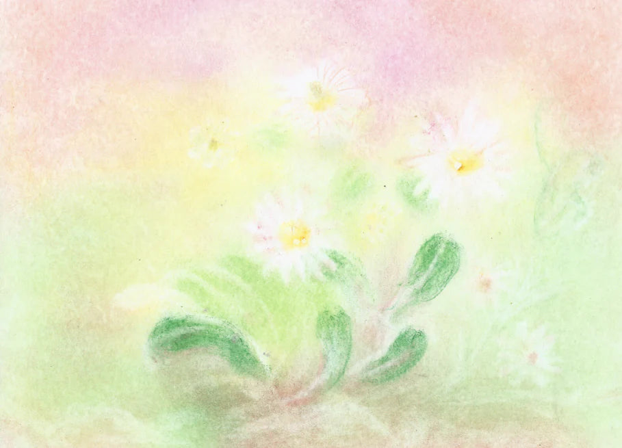 כרטיס ברכה - האחו הפורח - Seccorell