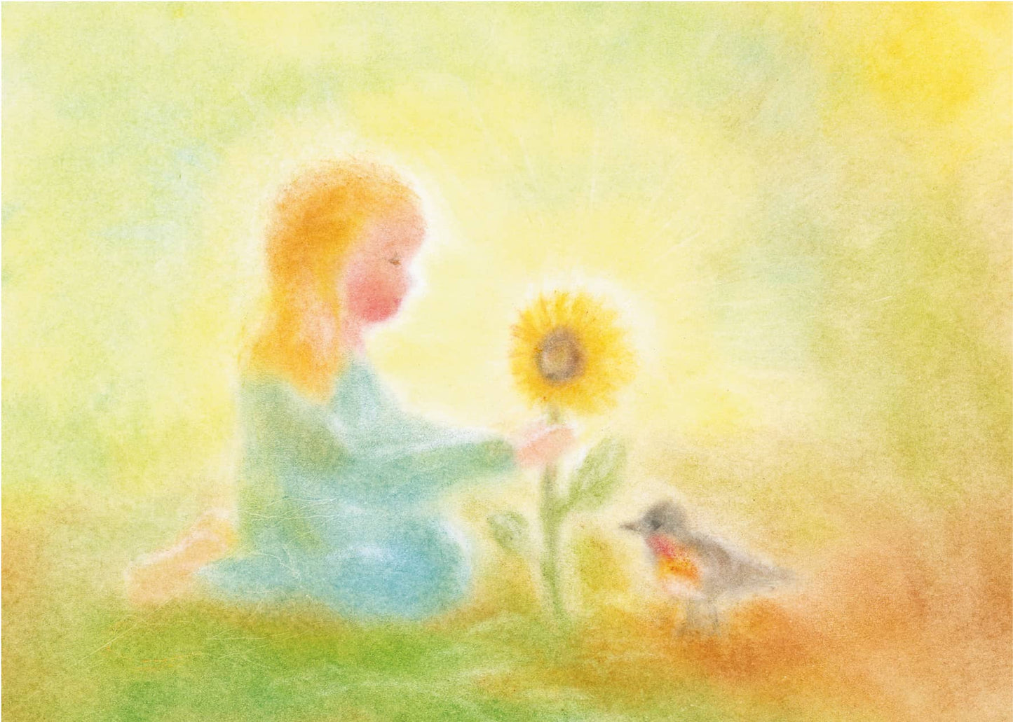 כרטיס ברכה - חמניה - Seccorell