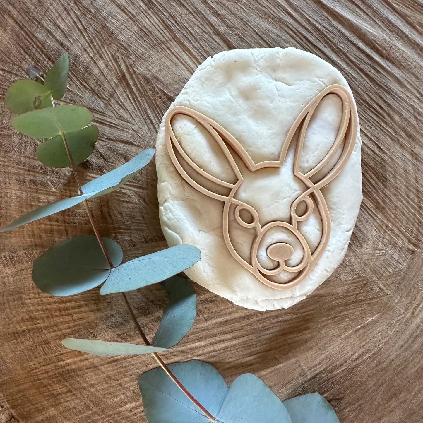 בצק משחק אקולוגי - DIY - Eco Art and Craft