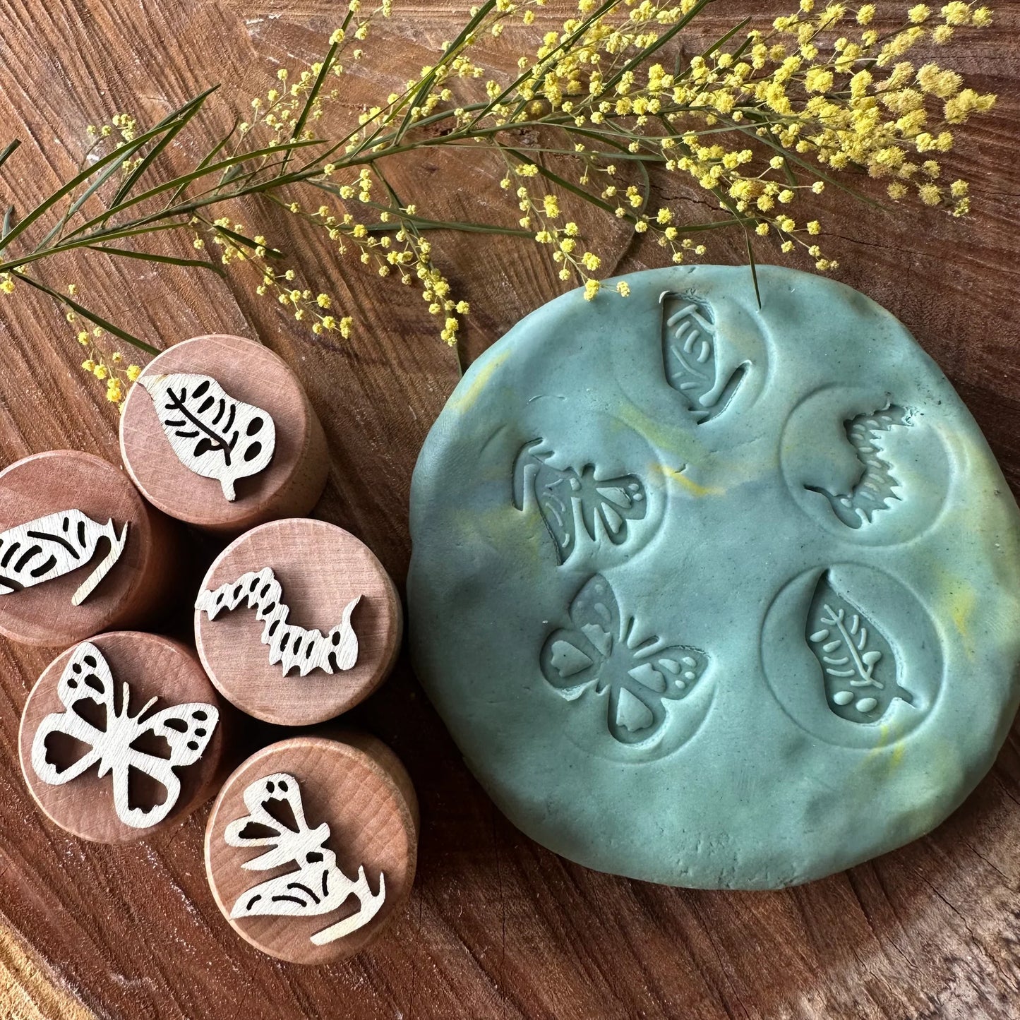 חותמות לבצק משחק - הזחל האוסטרלי - Eco Art and Craft